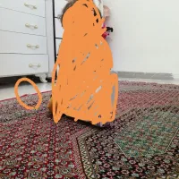 فرش 6متری ریز ماهی