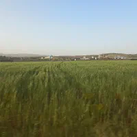 فروش باغشهری ۱۲۰۰متری با آب برق اسکلت مخزن کودیان