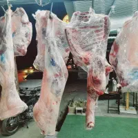 کشتار گوشت گرم ۷۹۰ به بالا سبد کالا فعال