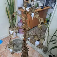 بخاطر کمبود جا