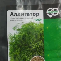 بذرشوید گاوریش اصلی کیفیت عالی