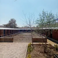 پانسیون و نگهداری و اموزش سوارکاری اسب