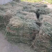 پرس دستی