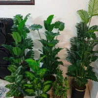 انواع درختچه مصنوعی