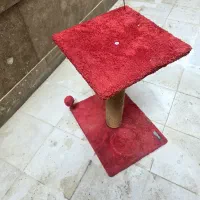 وسایل ضروری نگهداری گربه