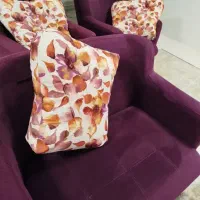 نیاز به یک نفر خانم همکار در مبل شویی (جاروبرقی)