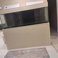 اکواریوم سایز بزرگ