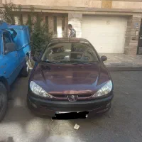 راننده شخصی  و انجام تمام امور شخصی
