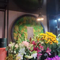 کارگر خدمات منزل ۲ روز در هفته