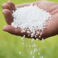 کود شیمیایی پردیس رازی شیراز مسجد سلیمان