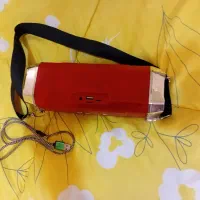 اسپیکر سالم