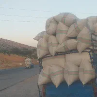 جاشیر|عمده‌فروشی|دهدشت, |دیوار