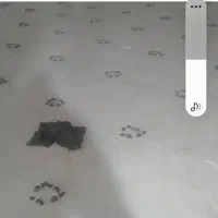 کاشی‌کاری و موزاییک‌کاری ساختمان