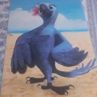 فرش اتاق کودک