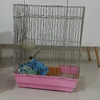 قفس