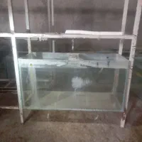 آکواریوم شیشه سکوریت