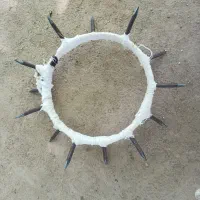 قلاده میخی سگ
