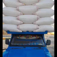 استخدام چند کارگر ساده در مزرعه