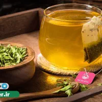 استخدام و اموزش