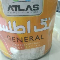 رنگ|مواد شوینده و دستمال کاغذی|بجنورد, |دیوار