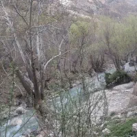 کارگر باغ