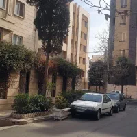 خانه دار شوید