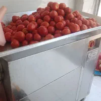 آبگیری  گوجه فرنگی