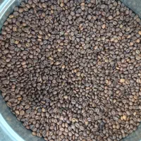 جذب سرمایه گذار قهوه