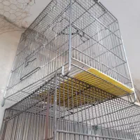 قفس سهره و طوطی قناری
