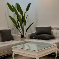 میز جلو مبلی