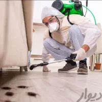 سمپاشی همه حشرات موریانه موش مارمولک ساس باضمانت