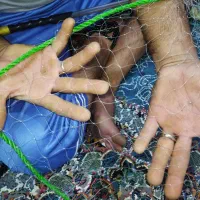 تور ماهیگیری