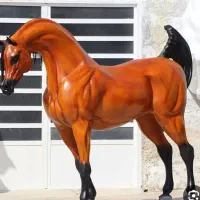 عرب یک سر یا دوسر