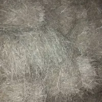 علوفه|لوازم جانبی حیوانات|مهربان, |دیوار