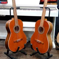 گیتار پارسی مدل M6