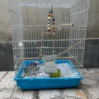قفس پرنده