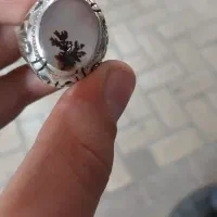شجر