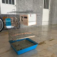 قفس پرنده