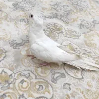 دو عروس هلندی