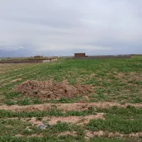 زمین-پردیس