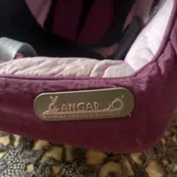 کریر کودک ، مارک کانگرو