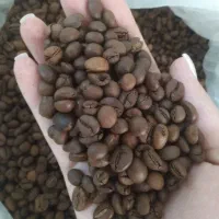 عرضه قهوه تخصصی