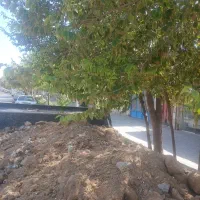 خاک چاه رایگان