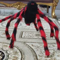 عروسک عنکبوت