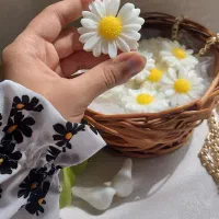 تولیدی رها