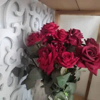 گل رز مخمل
