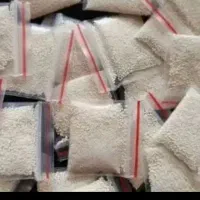 پودرشپش