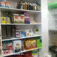 پت شاپ علی بابا