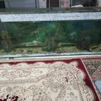 آکواریوم سه متری سالم همراه باوسایل