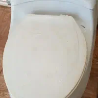 توالت رنگی